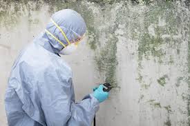 Best Comprehensive Air Testing for Mold Contaminants  in Cumming, GA